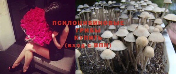 гидропоника Тутаев